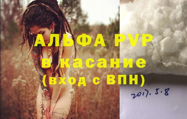 стафф Верея