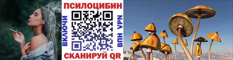 дарк нет наркотические препараты  hydra ТОР  Верхняя Тура  цена наркотик  Галлюциногенные грибы Psilocybine cubensis 